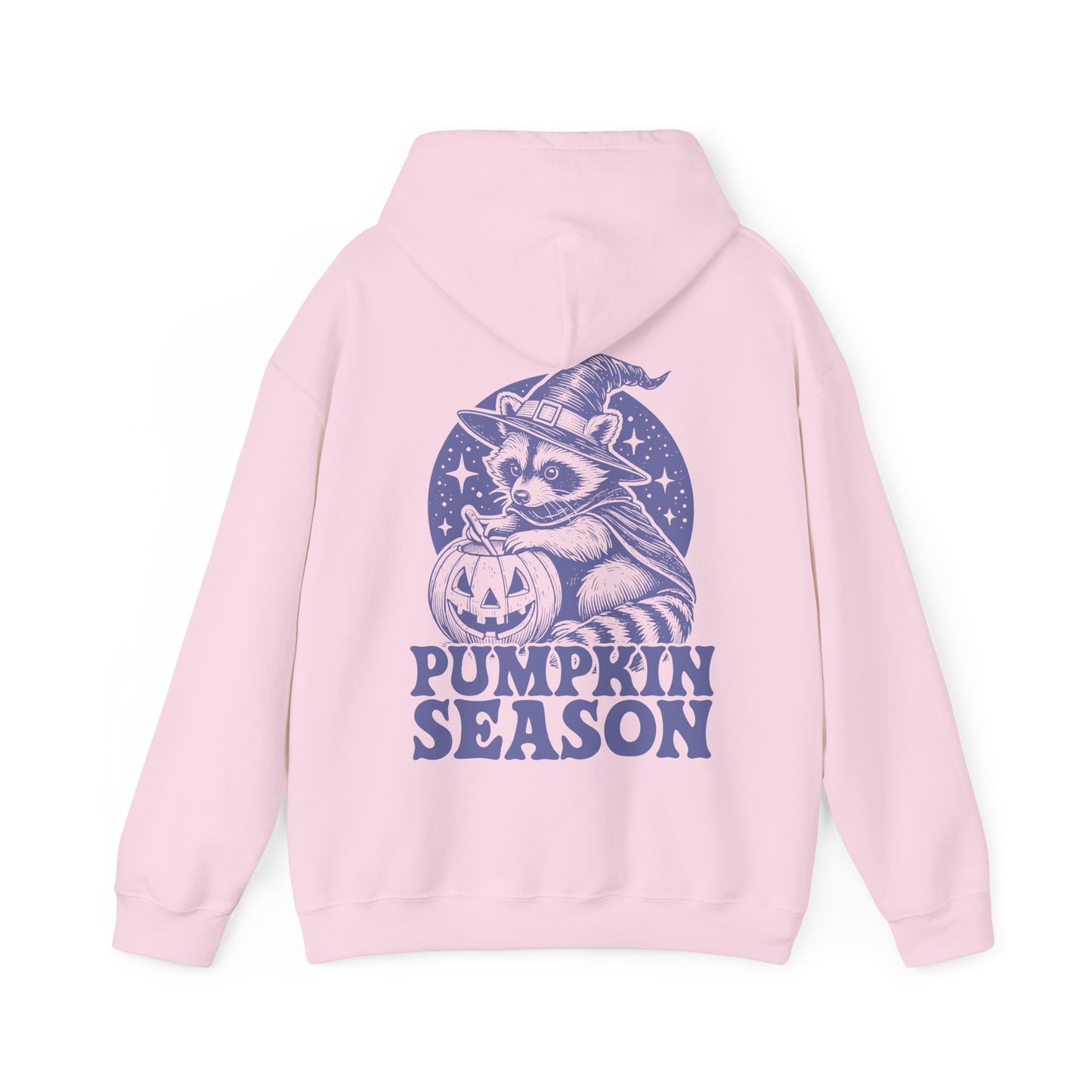 Pumpkin Season Racoon Hoodie