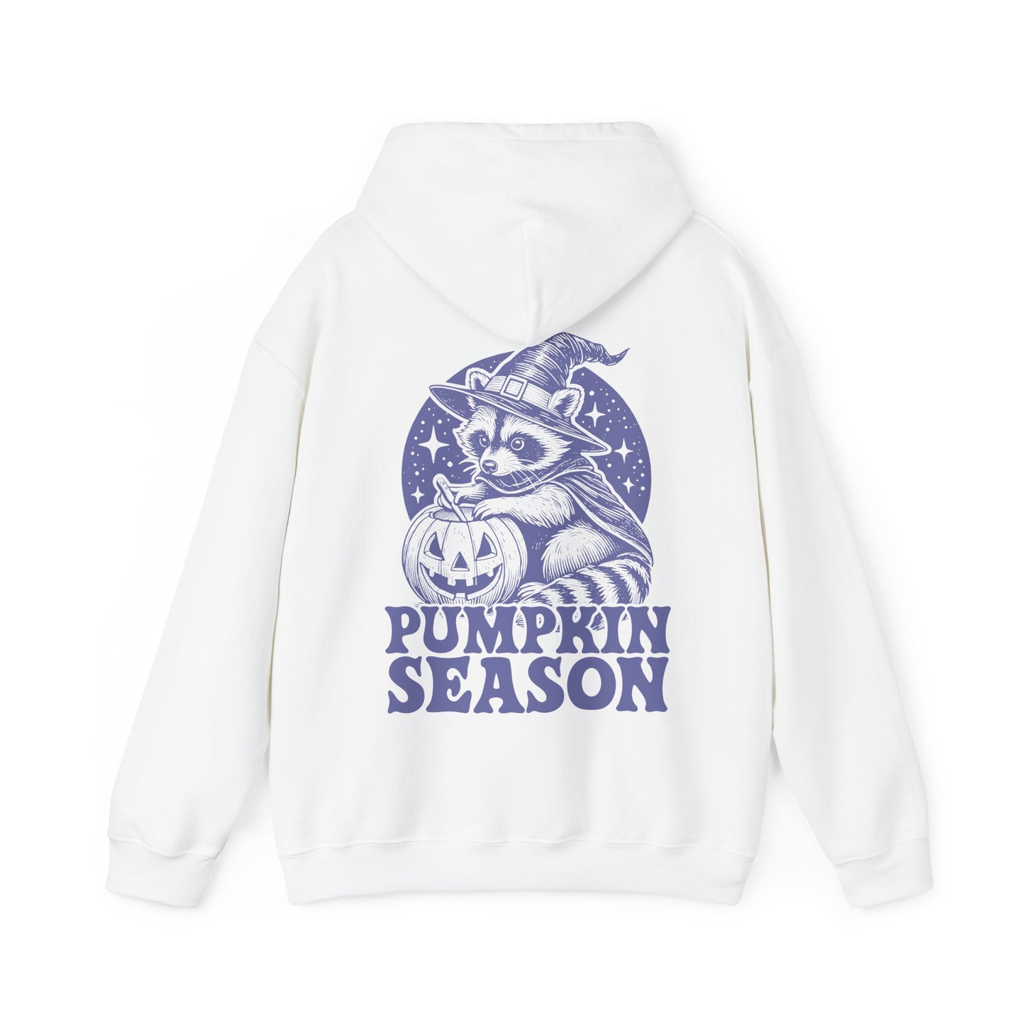 Pumpkin Season Racoon Hoodie