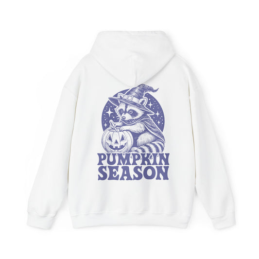 Pumpkin Season Racoon Hoodie