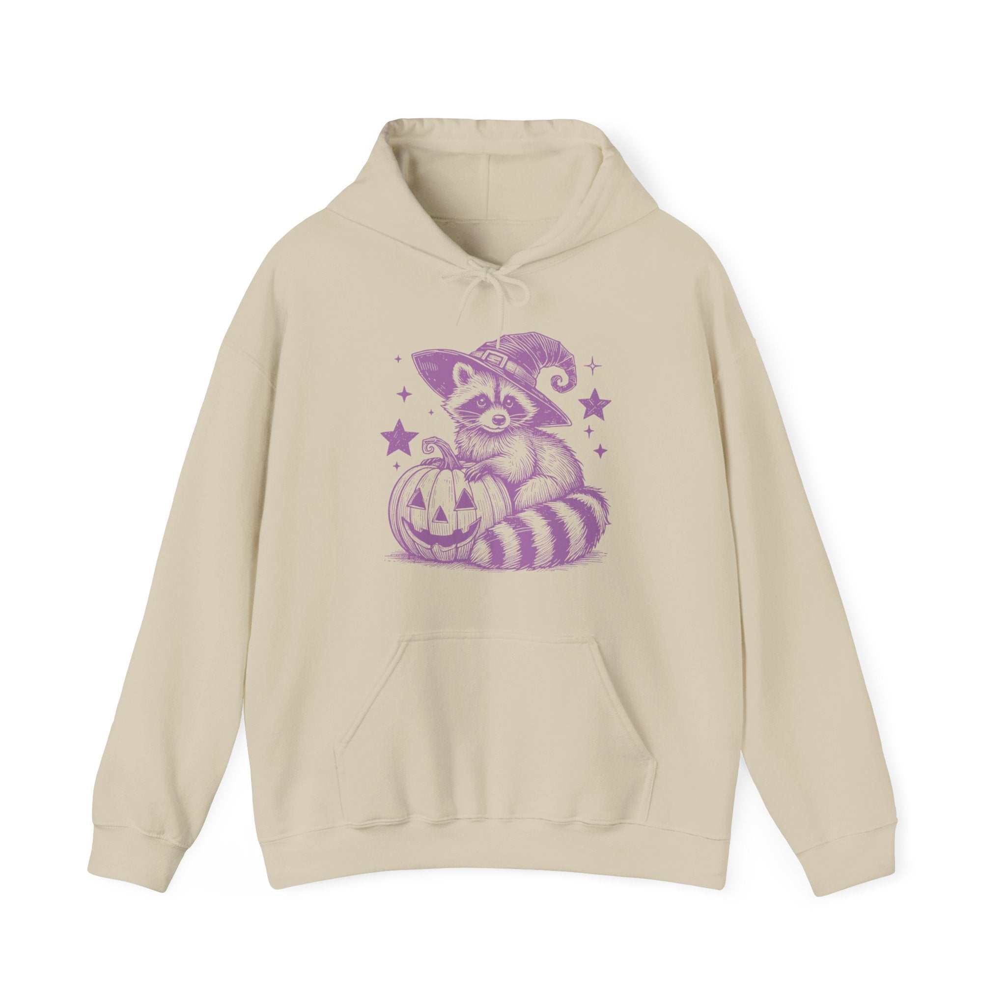 Racoon Pumpkin Hoodie