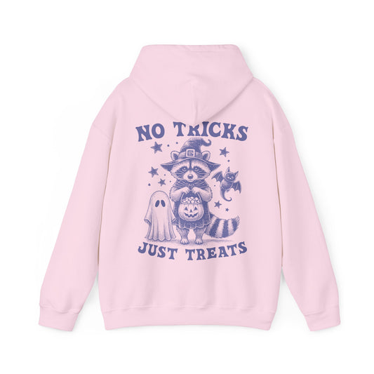 No Tricks Just Treats Racoon Hoodie