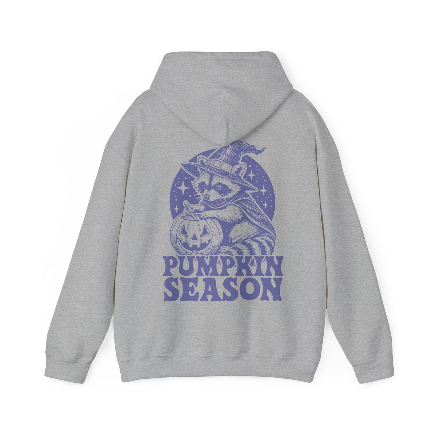 Pumpkin Season Racoon Hoodie