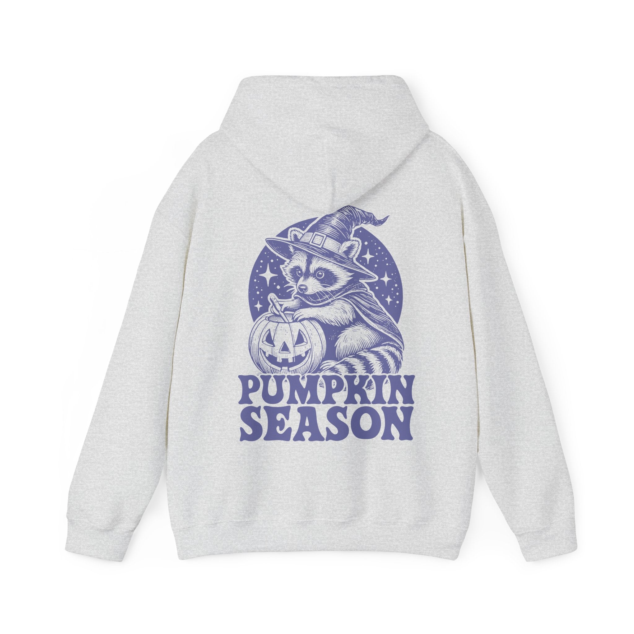 Pumpkin Season Racoon Hoodie