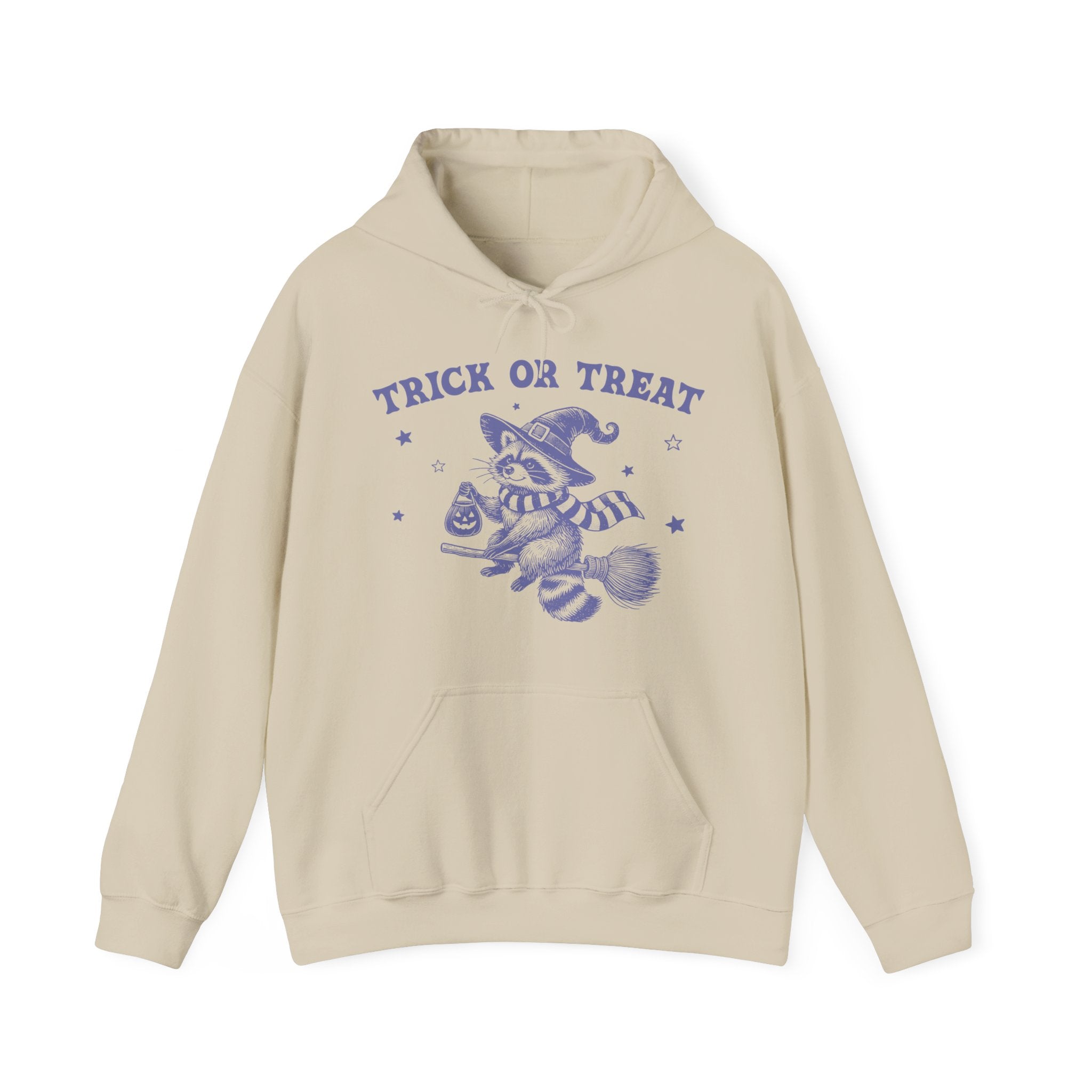 Trick Or Treat Racoon Hoodie