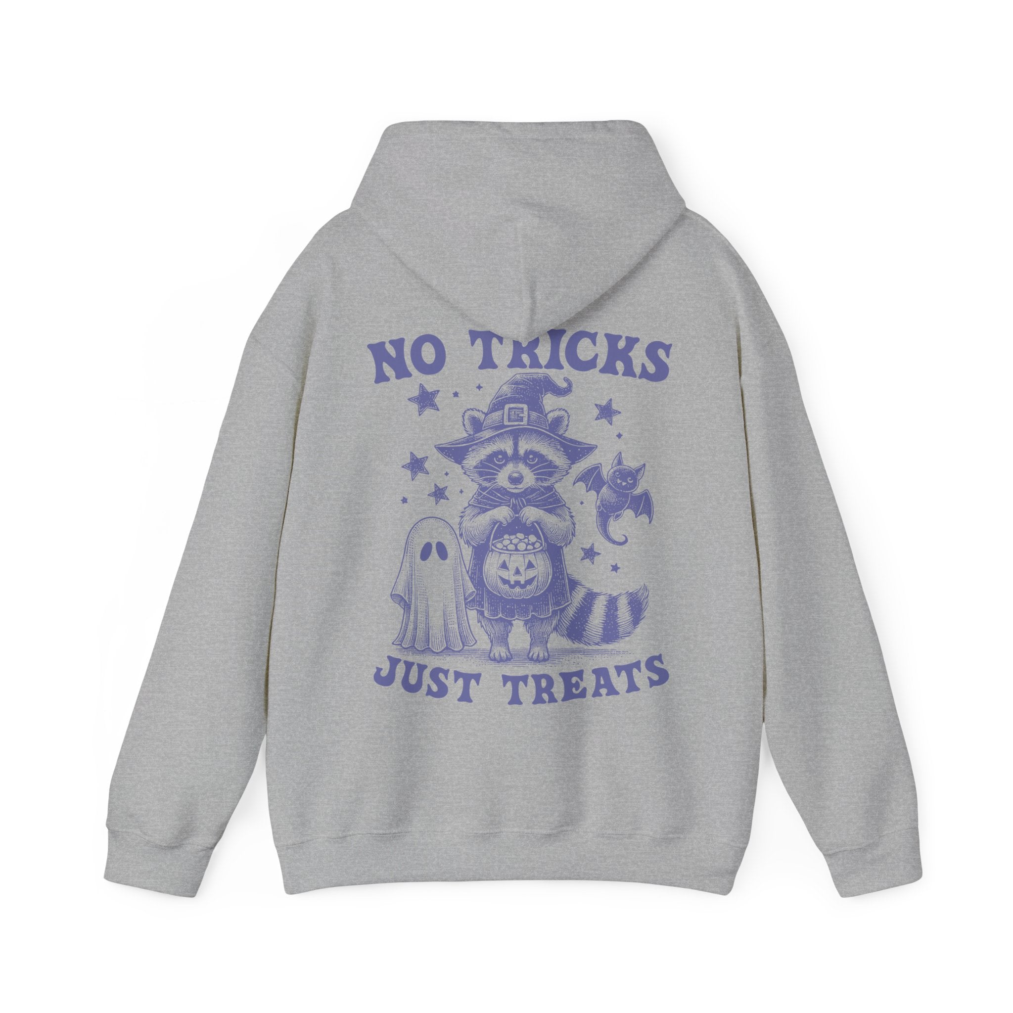 No Tricks Just Treats Racoon Hoodie