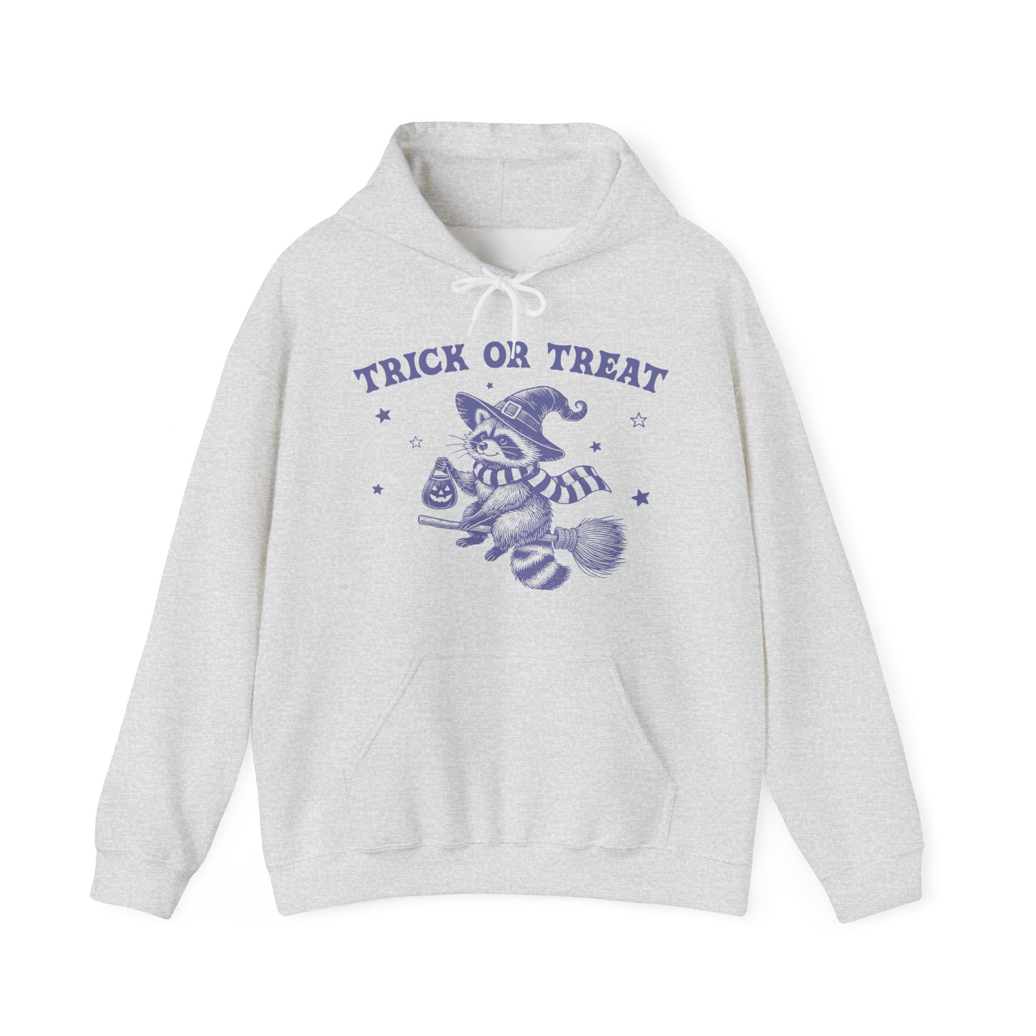 Trick Or Treat Racoon Hoodie