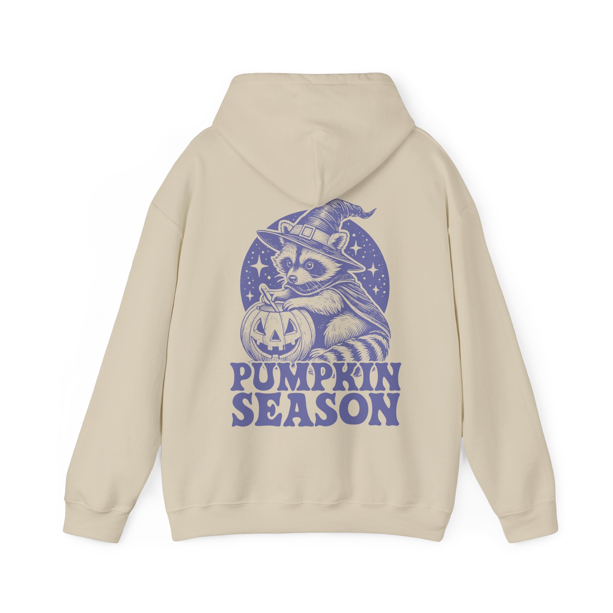 Pumpkin Season Racoon Hoodie